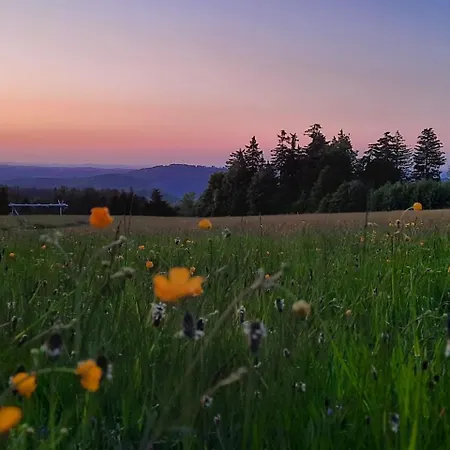 Sowi Widok Дом отдыха *