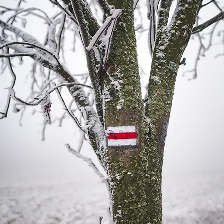 Sowi Widok Sierpnica