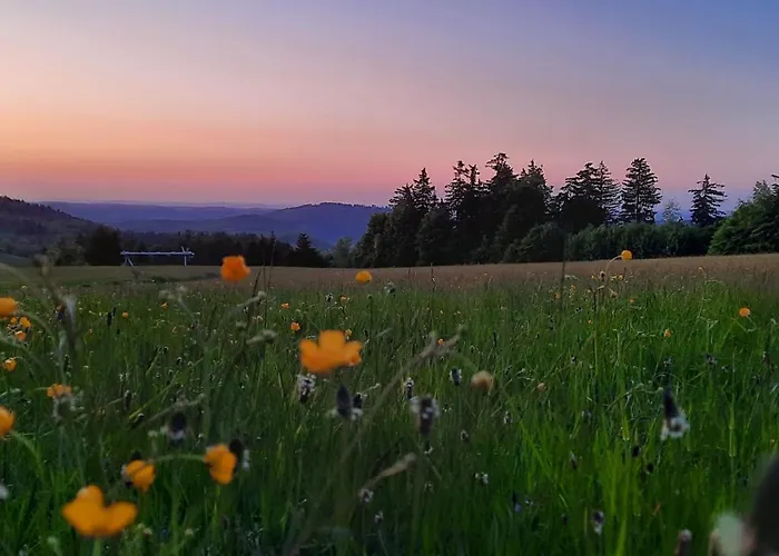 Sowi Widok Prázdninový dům *