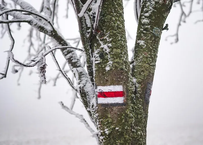 Sowi Widok Sierpnica