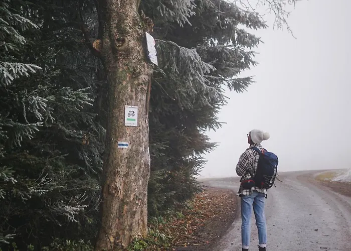 Sowi Widok Prázdninový dům *